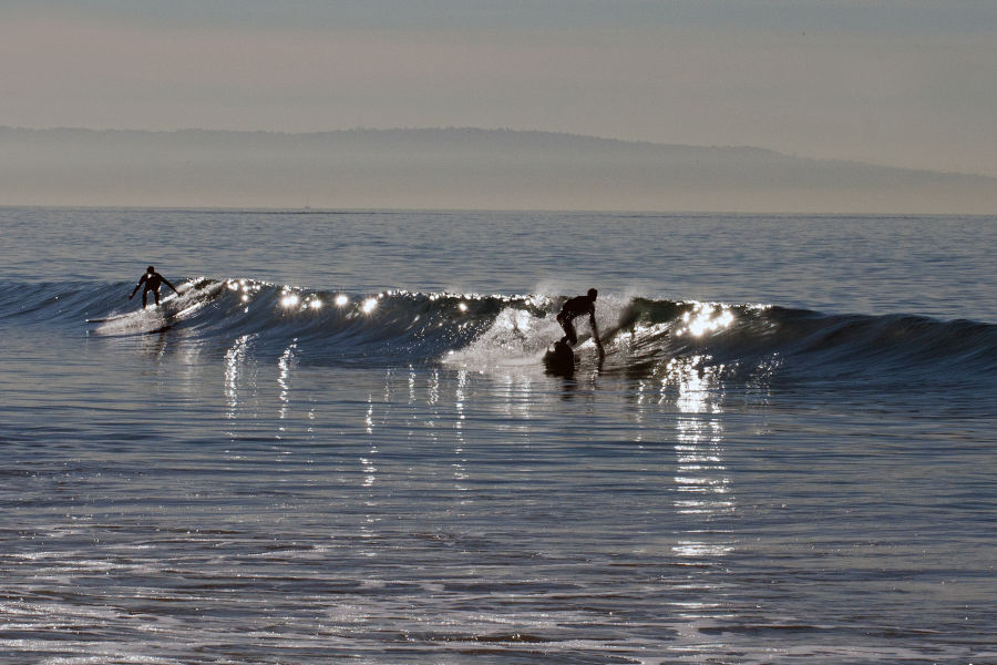 Santa Monica surfing